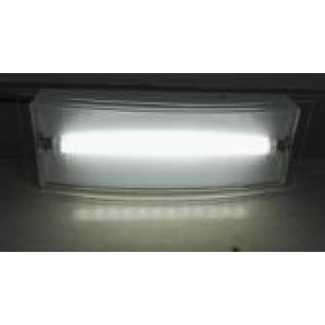 Ce LED Security Light, Emergency Light, LED Lamp, Security Light